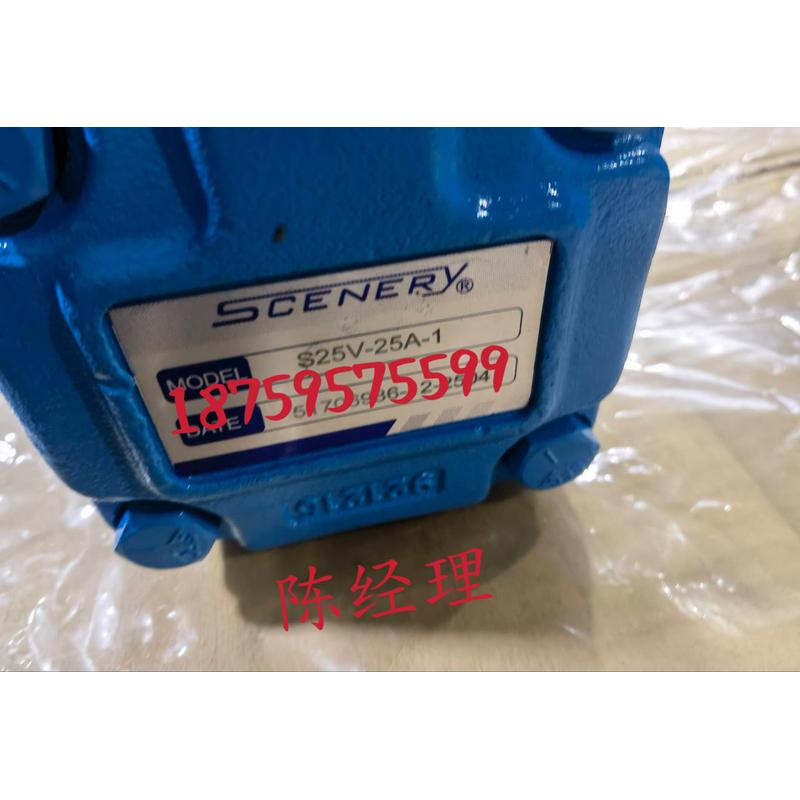 SCENERY低噪音液压泵油泵S25V25A-1 叶片泵25V25A-1