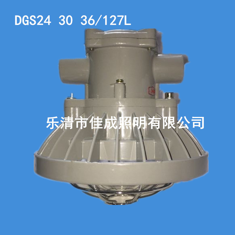 DGS30 36/127L(A)矿用隔爆型LED巷道灯30W防爆灯巷道灯 LED防爆灯