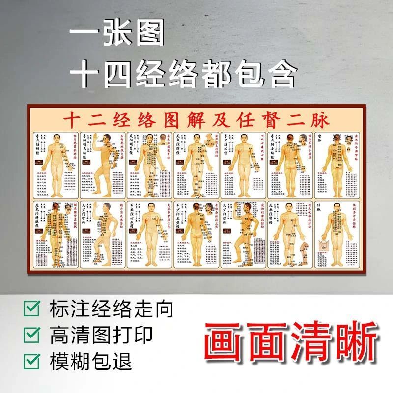 人体经络穴位标准大图十二图及任督二脉穴位经络经脉图人体经厂家