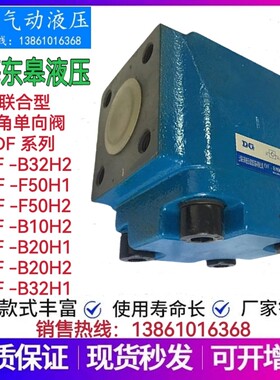 上海东皋直角单向阀DF -B32H2-F50H1 -F50H2-B10H2-B20H1-B20H2