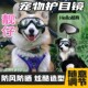狗狗护目镜大型犬太阳眼镜防紫外线边牧小型犬防风雪地滑雪 厂家