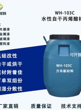 水性有机硅改性丙烯酸树脂自干金属木器玻璃塑胶漆广州万华WH103C