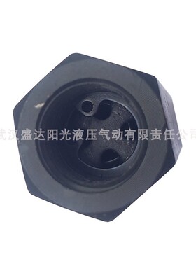 止逆阀武进二厂I-10 I-25 I-63低压单向阀6.3MPa螺纹连接管式