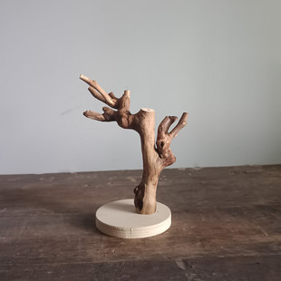 干树枝摆件装饰 天然树干枯木造型造景树杈支架展示 架文玩挂架子