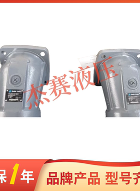 震远牌柱塞泵 A2FM355/61W-VBB040 油泵 A2FM500/61W-VBB040