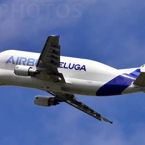 1:100纸模型飞机空客大白鲸Beluga运输机Airbus手工立体3D