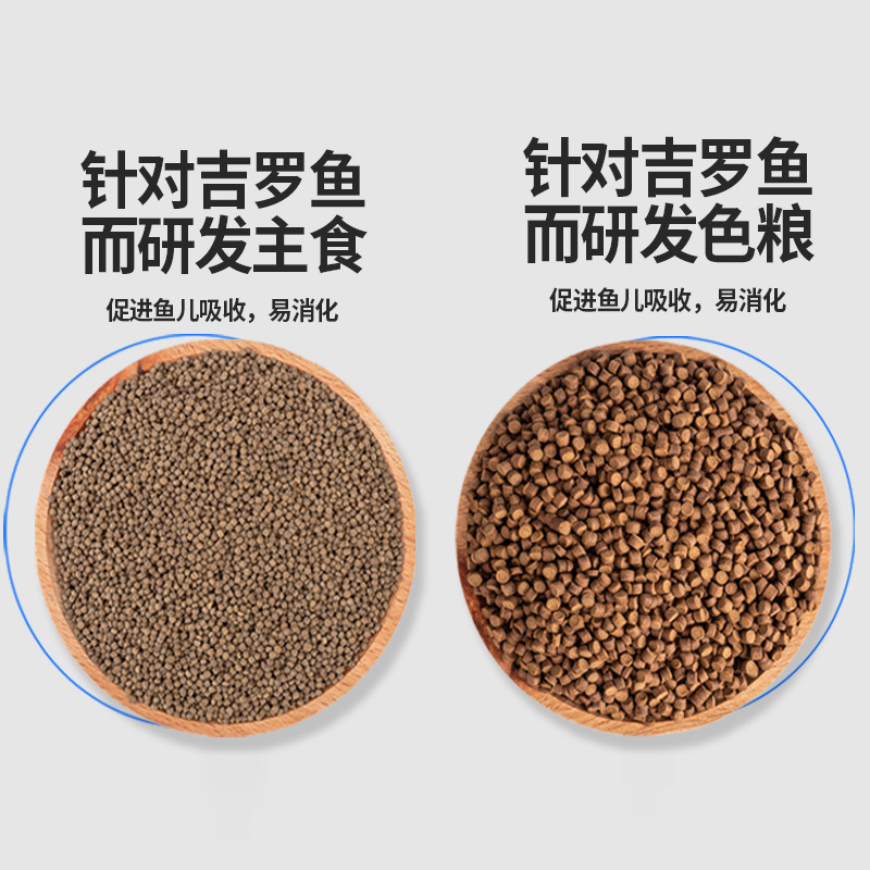 吉罗鱼专用饲料蓝吉罗鱼饲料金红吉罗鱼发色鱼粮下沉型蛋白高鱼食