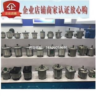 1AE1P1 1AE1P13L 拍前询价台湾钰盟HONOR齿轮泵1AE1P11L 1AE1P11R