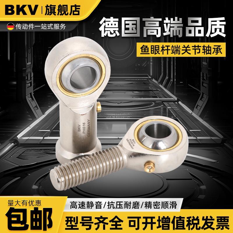 德国BKV进口304不锈钢鱼眼轴承304连接丝杆SA6 8 10 20 22 25T/K