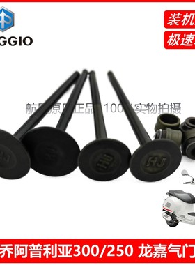 比亚乔原厂配件HPE阿普利亚SRMAX300NEXUS250/X7龙嘉进气门排气门