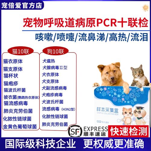猫狗呼吸道十联pcr检测支原体疱疹杯状猫鼻支猫咳嗽喷嚏【送检】