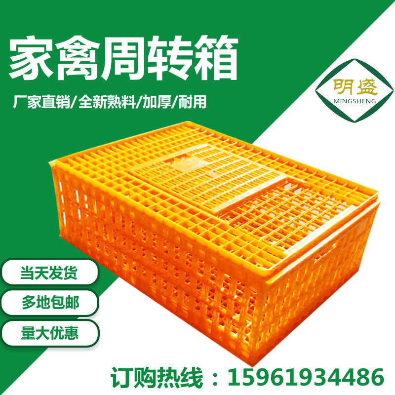 鸡用周转箱运输鸡笼成鸡运输笼周转箱鸭鹅鸽子兔运输筐鸡筐笼包邮