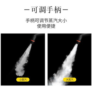 速发家用高温蒸汽清洁机熏蒸机清洗机甲醛治理蒸气机定电动贴车罩