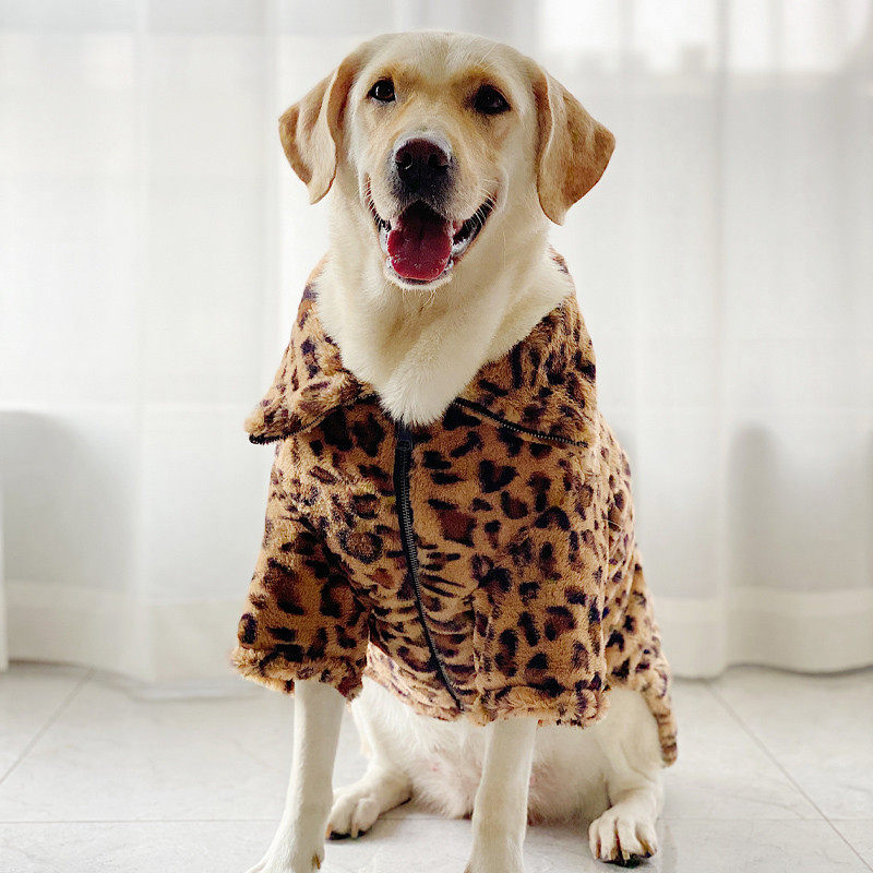 狗狗大型犬冬季防掉毛保暖拉布拉多金毛加厚
