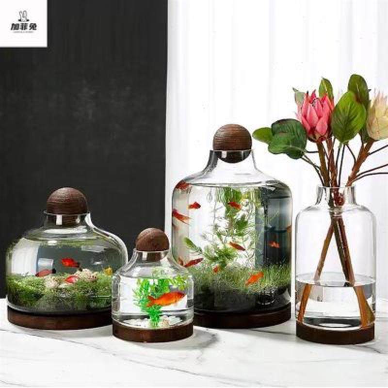 圆形玻璃小鱼缸日式生态瓶桌面微景观DIY作业免换水,家居饰品,户外/庭院摆件,淘宝优惠券,粉丝福利购,淘宝优惠卷