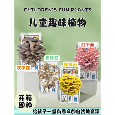 蘑菇种植包儿童种植蘑菇小盆栽学校桌面神奇趣味植物家庭菌菇菌包
