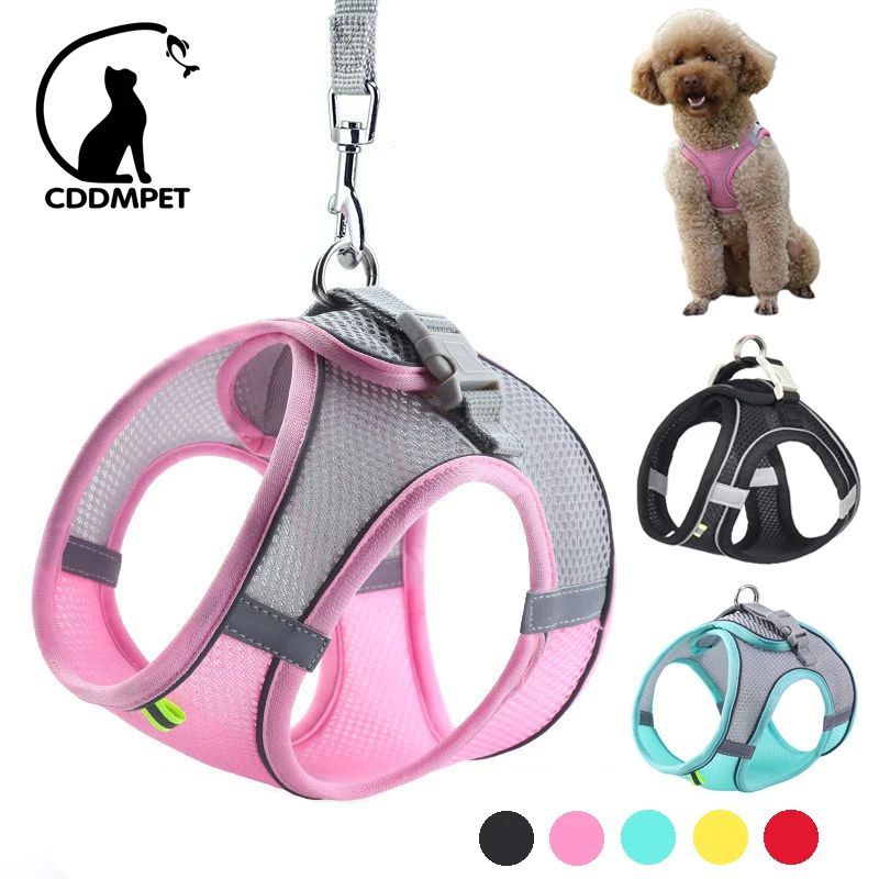 Dog Harness Leash Set for Small Dogs Adjustable Puppy Cat Ha