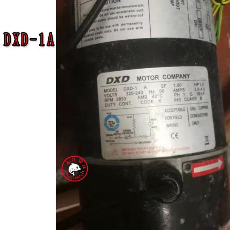 浴缸按摩泵DXD-1A大流量浴缸冲浪电机婴幼儿SAP按摩泳池循环水泵