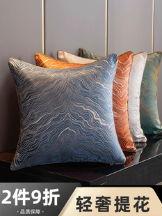 轻奢高级感沙发客厅靠垫抱枕大靠背垫罩抱枕套不含芯大号靠枕套罩