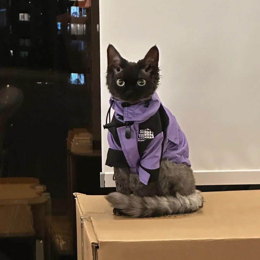 宠物时尚品牌夹克泰迪比熊雪纳瑞法国斗牛犬狗猫秋冬保暖衣服AI