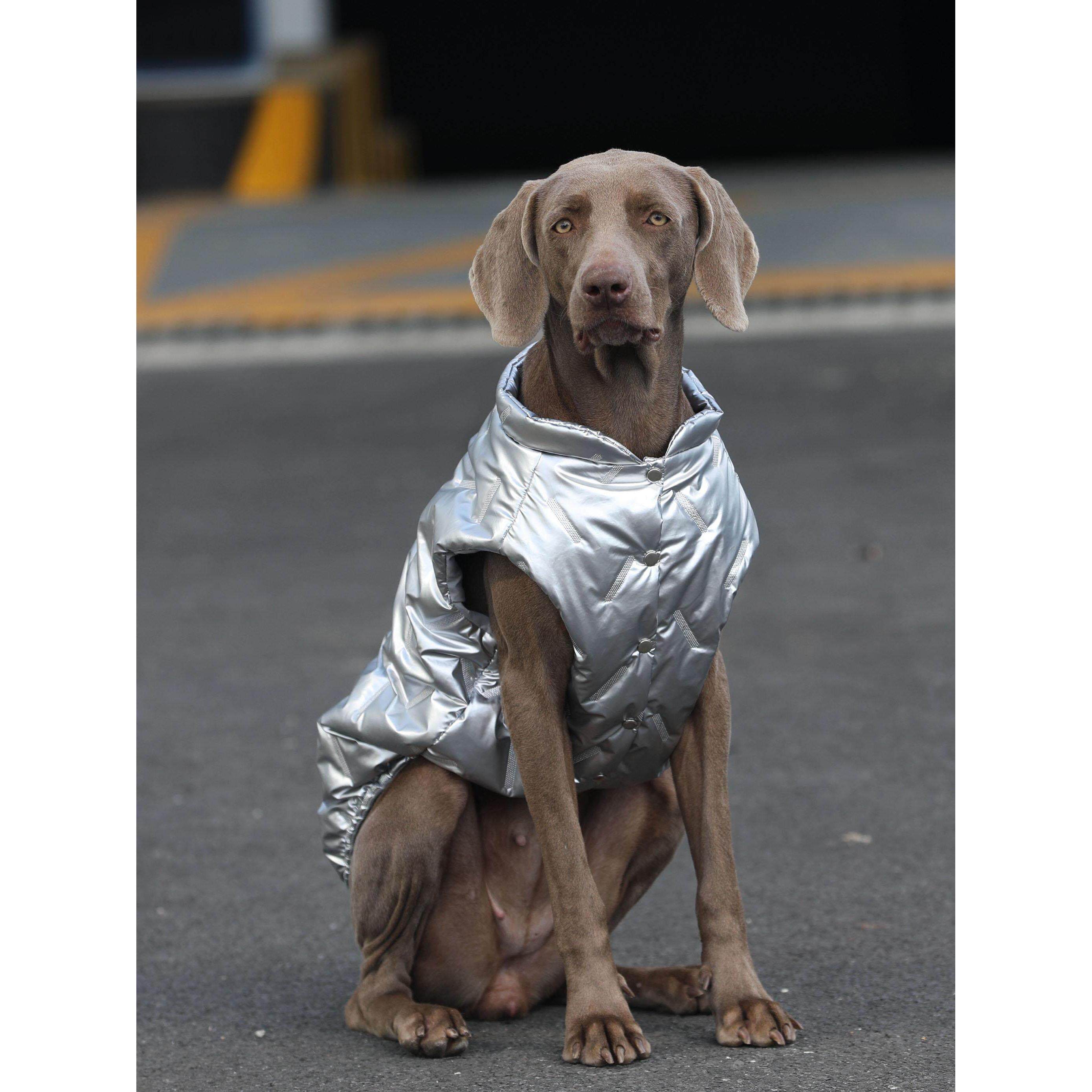 狗狗衣服冬季银色马甲拉布拉多金毛边牧威玛犬保暖衣服大型犬棉衣