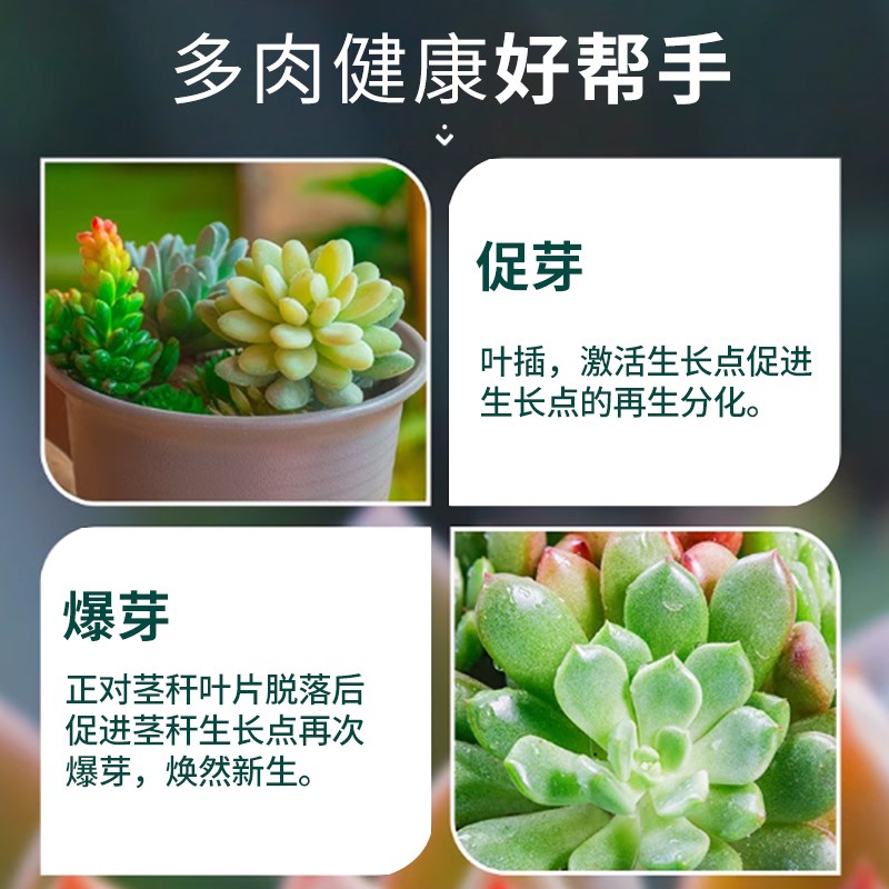 优芽素多肉专用促生长催芽植物发芽素素营养液兰花爆芽素免稀释