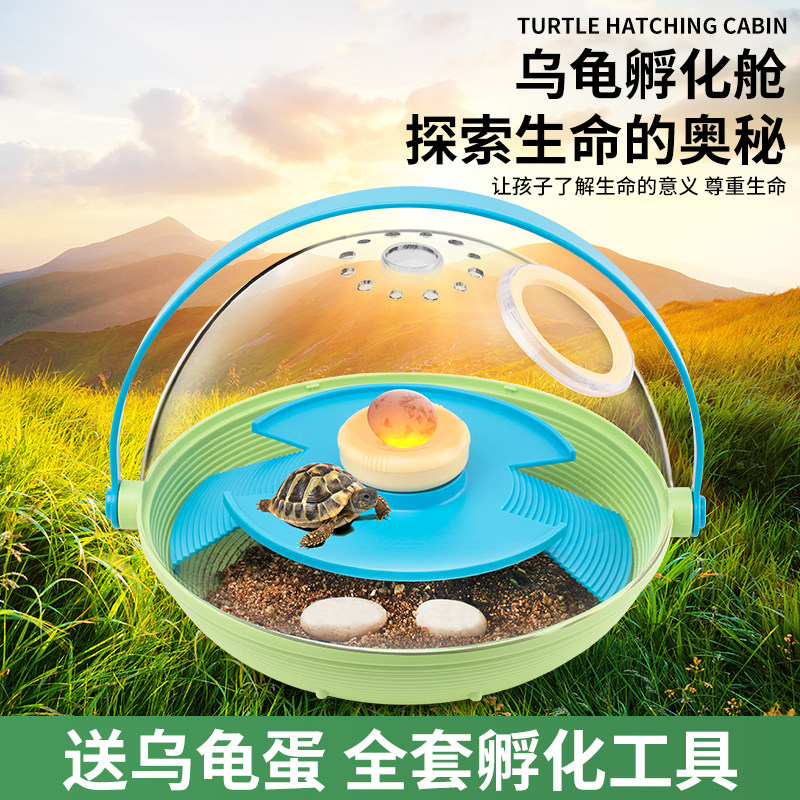 儿童昆虫观察盒科学罐小实验幼儿园趣味手工男孩
