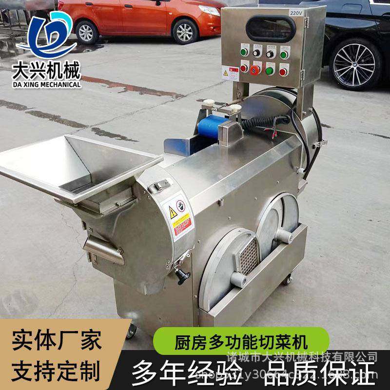 洋葱圈高速切丝设备 黄瓜蛇瓜切片机 商用不锈钢多功能双头切菜机