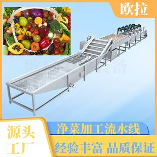 土豆丝加工全套设备 万能水果蔬菜清洗设备 叶菜类气泡清洗机器