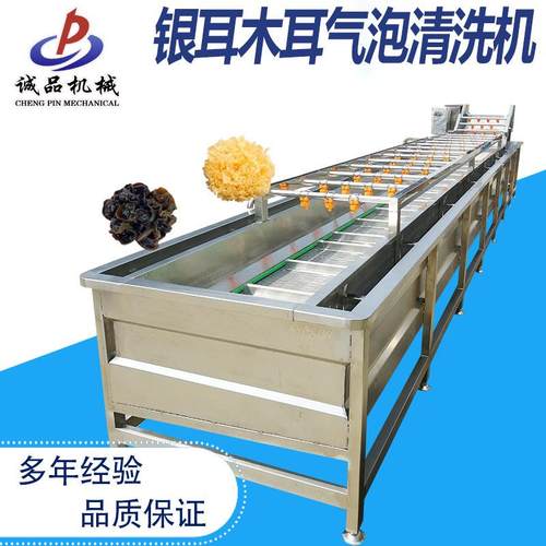 全自动金耳子清洗设备多功能木耳气泡清洗机银耳鼓泡清洗设备