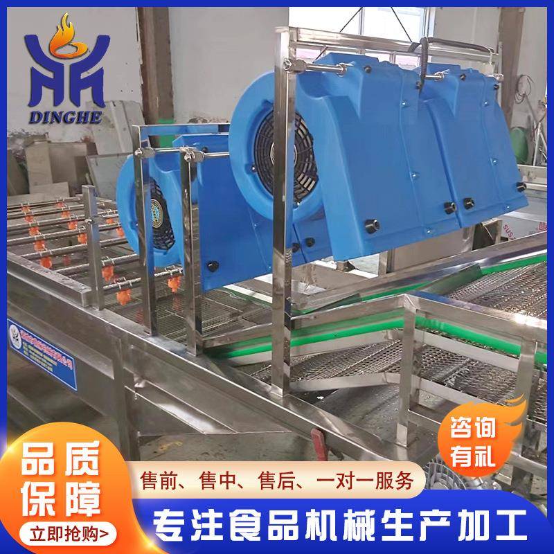 大姜清洗风干流水线 多功能菌袋装品杀清洗风干机 流强翻UKK转风