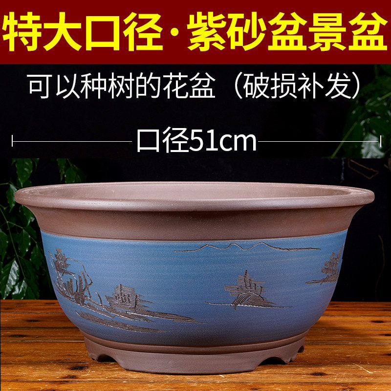紫砂花盆铁树超大号盆景树金弹子陶瓷花盆多肉植物花卉盆栽室