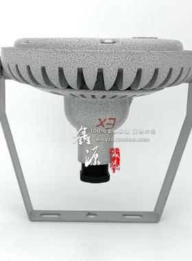 防爆LED灯 BCD1601仓库投光灯照明IIC隔爆防水防尘IP66车间工厂灯