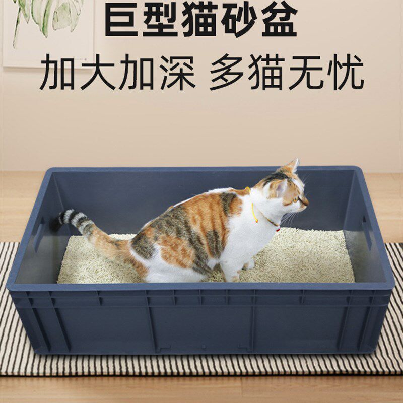 猫砂盆超大号双层缅因猫特大号60斤集装箱平替巨大型全开放40斤