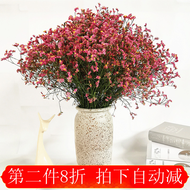 云南真花勿忘我满天星水晶草风干干花花束家居摆设论斤卖装饰