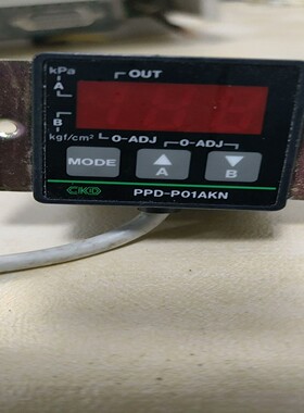 件CKD PPD-P01AKN-6P数显压力传感器(~询价