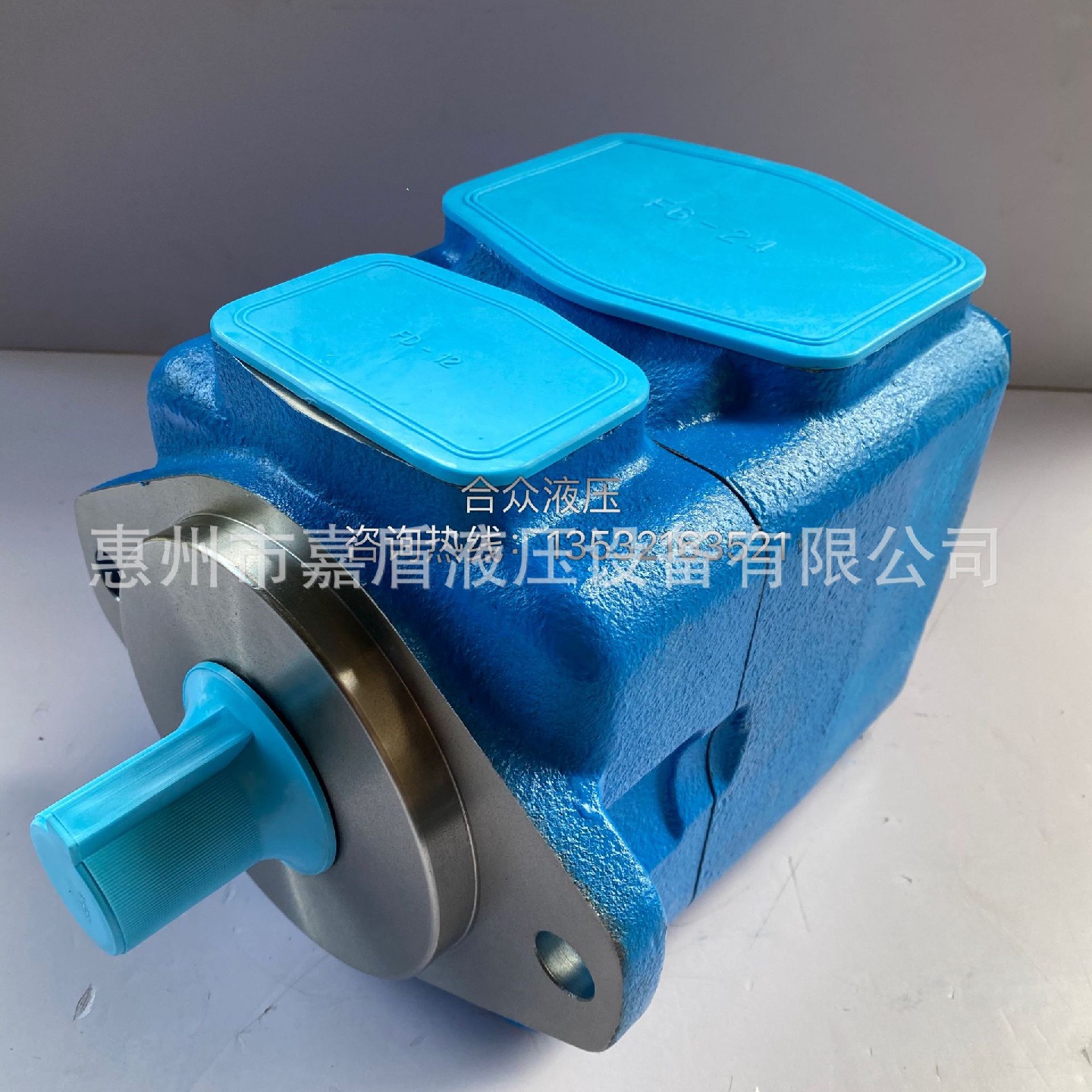 海特克45VQ42A-1A20R叶片泵