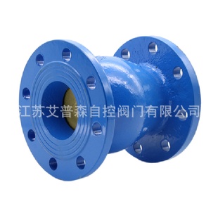 DN300 HC42X 25C铸钢立式 止回阀消声止回阀DN50
