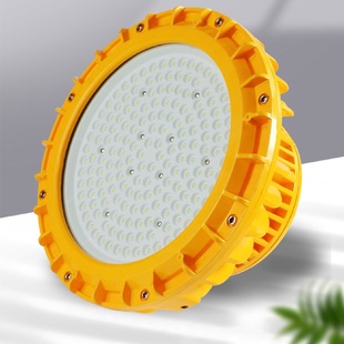 SZSW8130防爆LED工作灯50W100W