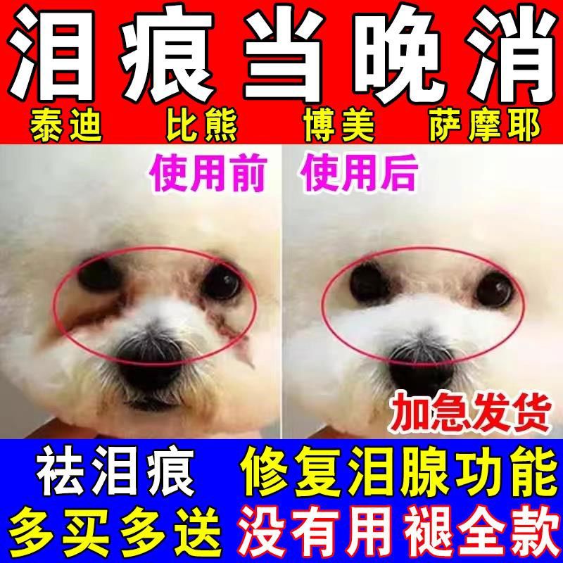 狗狗去泪痕神器比熊泪痕去除液小狗泰迪博美去眼屎