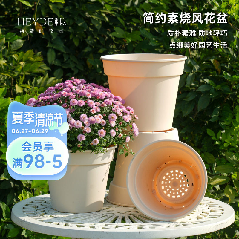 海蒂的花园 爱丽思素烧风花盆绿植草本花卉植物塑料盆树脂种