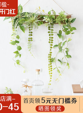 阿楹 墙上仿真绿植花器创意壁挂植物遮丑吊挂件衣柜背景墙面