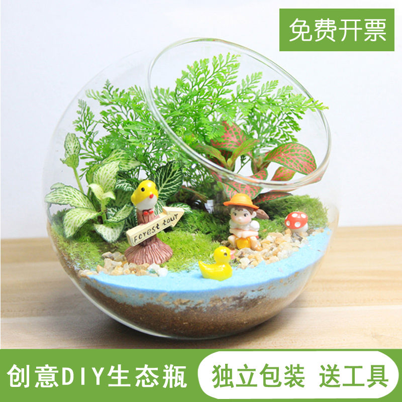 苔藓微景观生态瓶趣味植物创意办公室DIY材料包迷你玻璃桌面