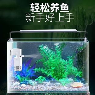 热弯高清玻璃鱼缸免换水中小型家用客厅鱼缸桌面龟缸热带鱼水马小