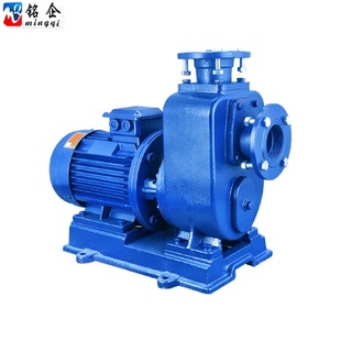 BZ直联式 1.5KW 自吸清水泵高扬程防堵塞管道泵增压泵40BZ10
