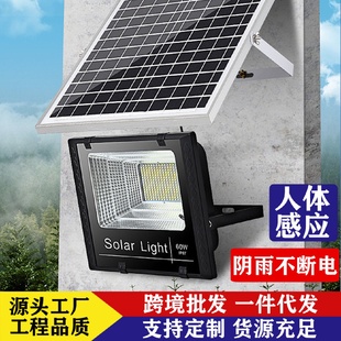 太陽能燈戶外投光路燈led大功率照明燈家用庭院燈新農村廠家直供