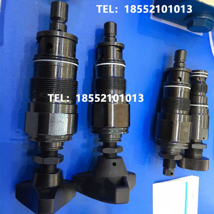 DBDS6K DBDS10K DBDS20K DBDS30K10/315 200 100 25插装式溢