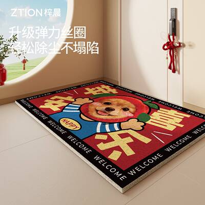 哈基旺入户门地垫丝圈门口脚垫进门可裁剪家用地毯玄关耐脏门垫