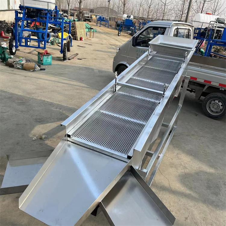 小型振动筛选机 大小振动筛 筛选机