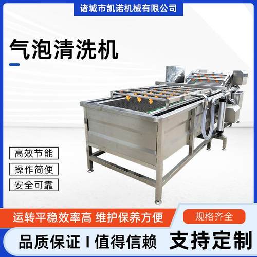柠檬橙子苹果气泡清洗机 山菜地菜高压喷淋清洗设备 果蔬清洗机